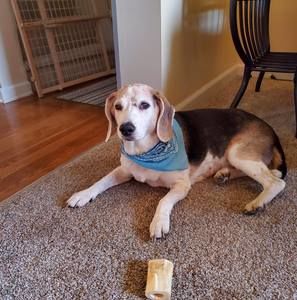 Meet your Posher, Paula